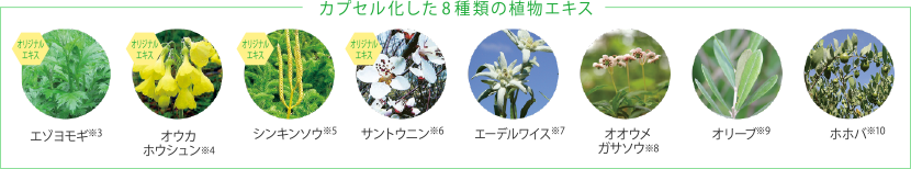 カプセル化した8種類の植物エキス