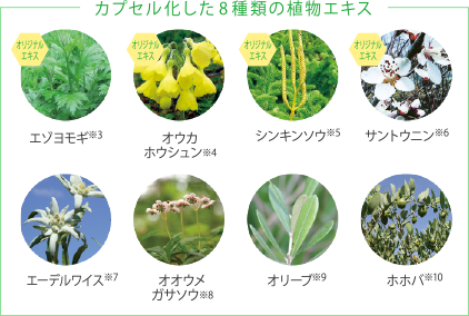 カプセル化した8種類の植物エキス